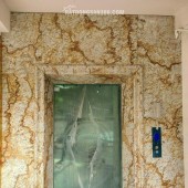 Cho thuê nhà mới, Trung Hòa, Vũ Phạm Hàm, Trần Kim Xuyến; 142m2* 4,5T